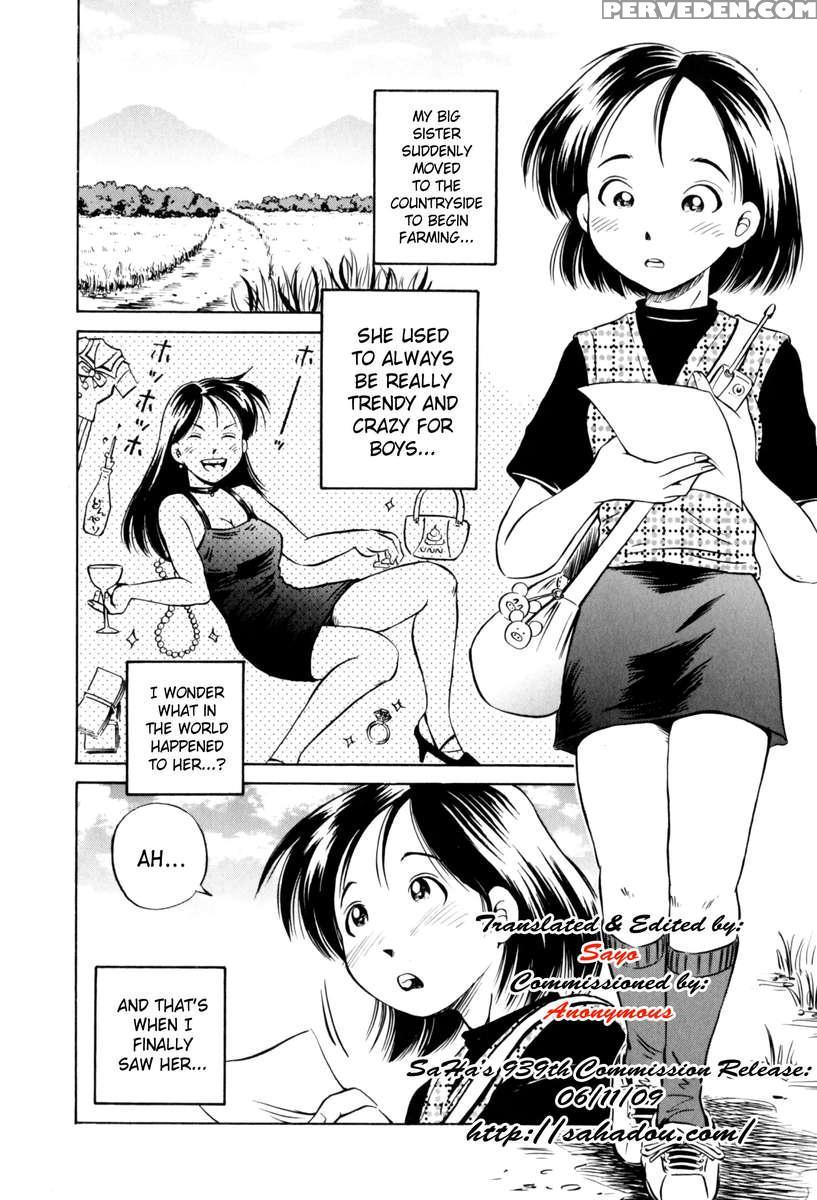 The Poke Paradise 1