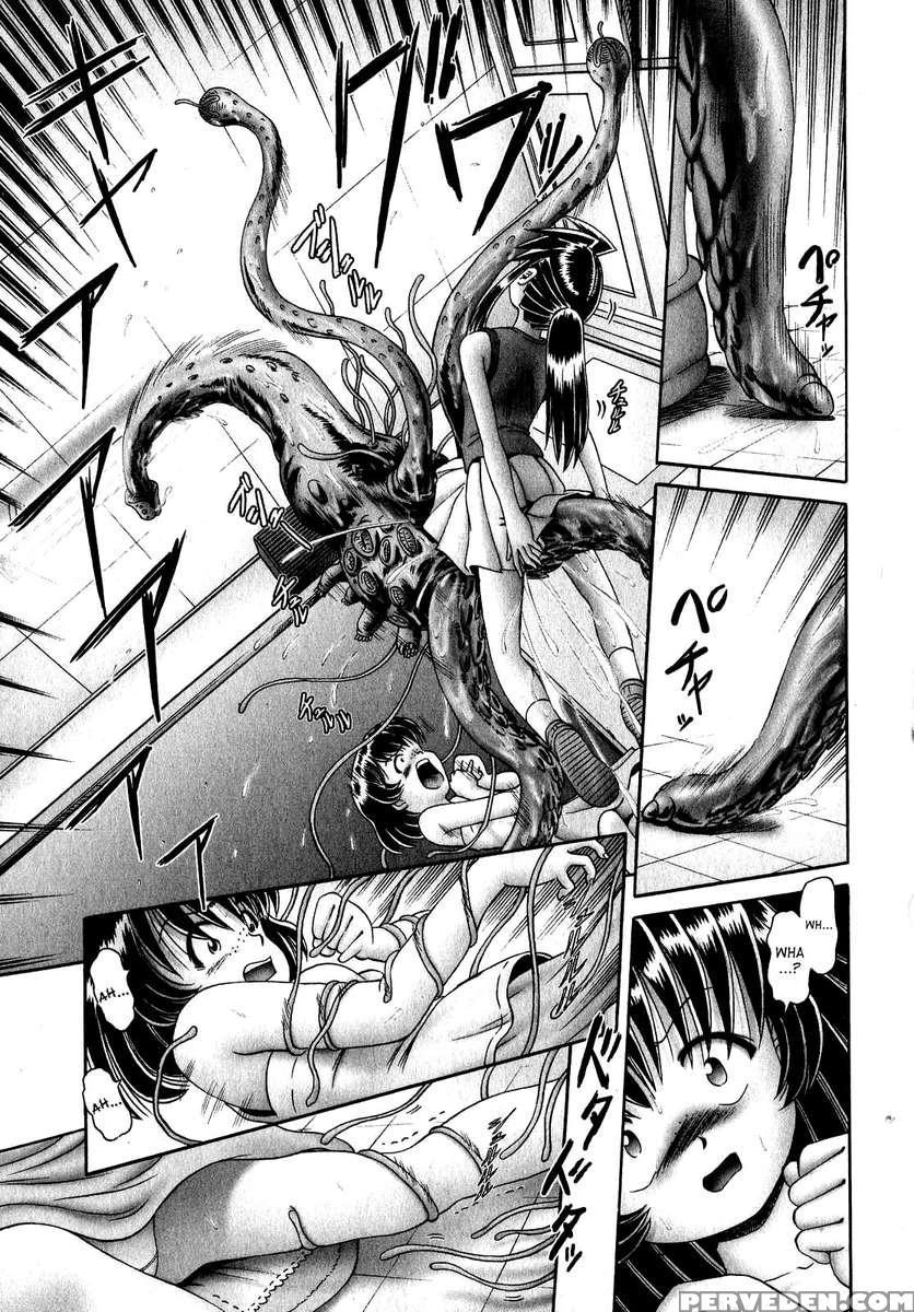 The Secret Flower Garden Vol. 1 1