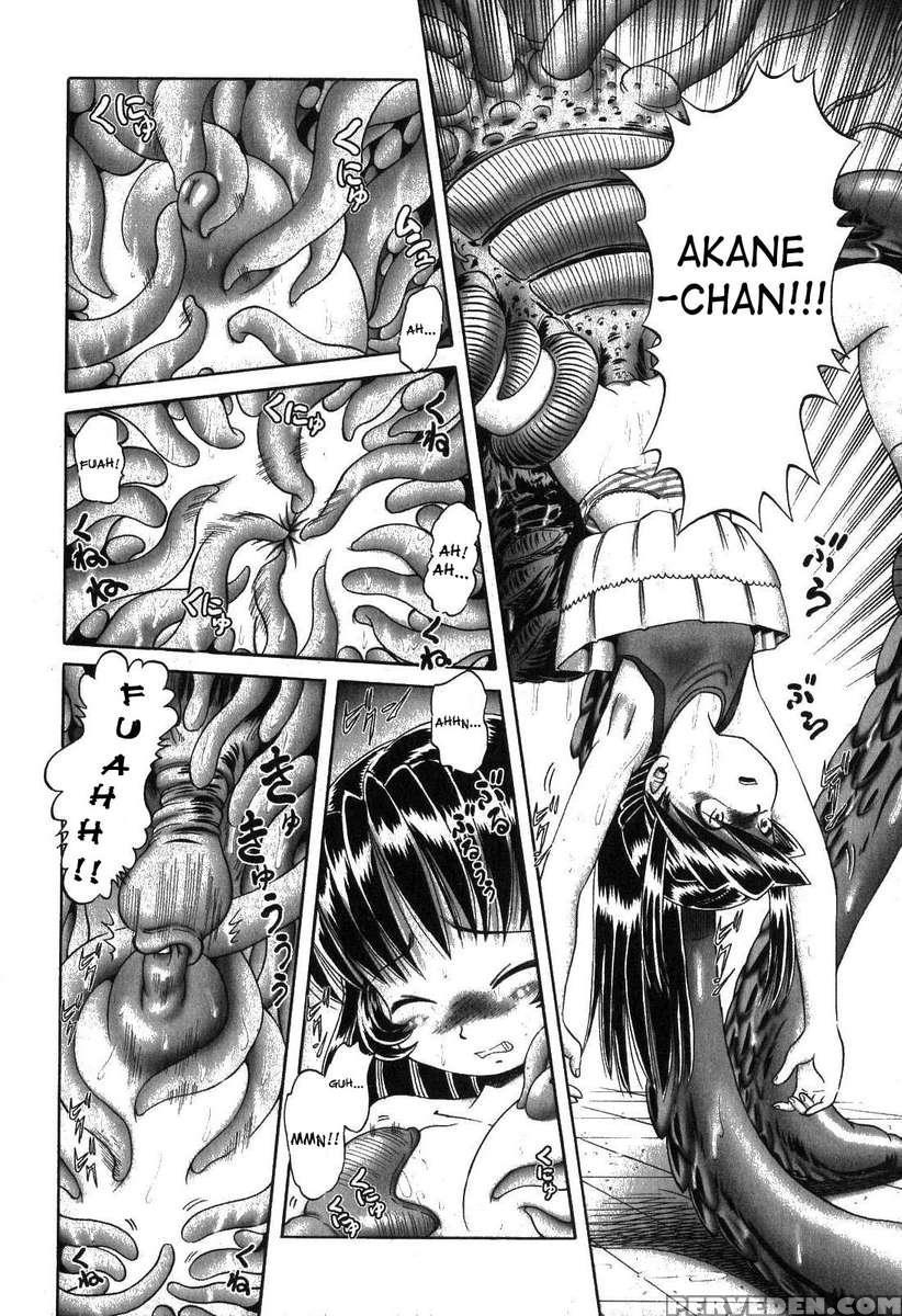 The Secret Flower Garden Vol. 1 1