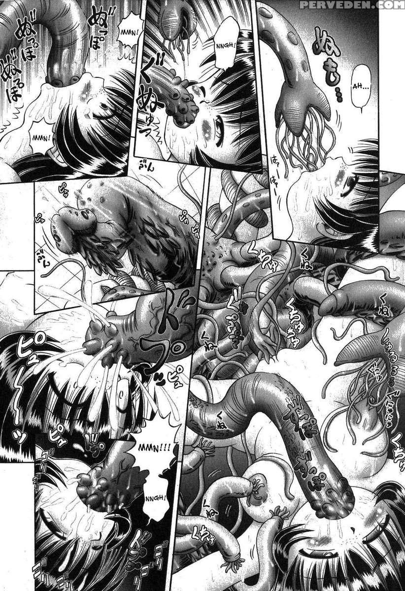 The Secret Flower Garden Vol. 1 1