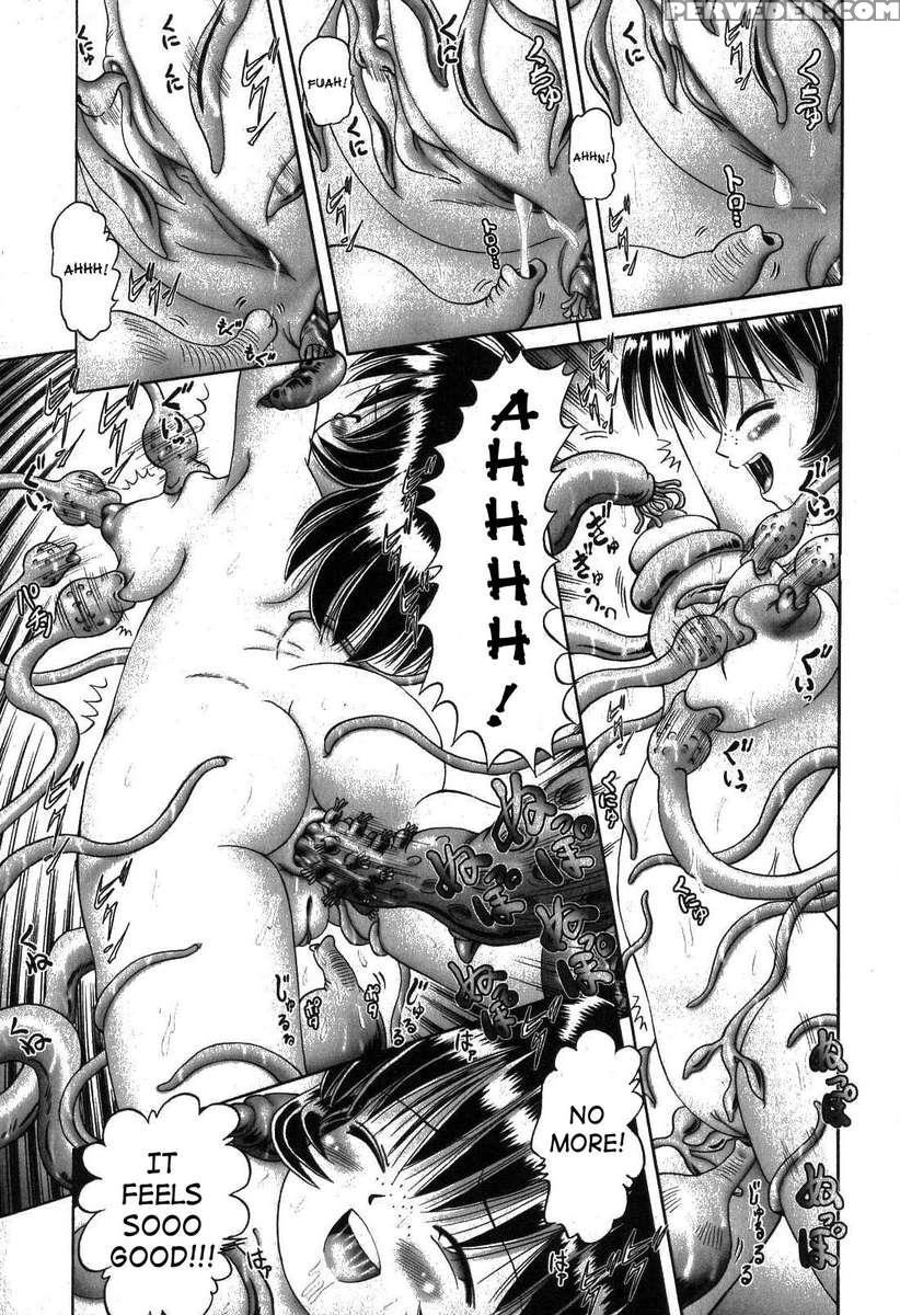 The Secret Flower Garden Vol. 1 1