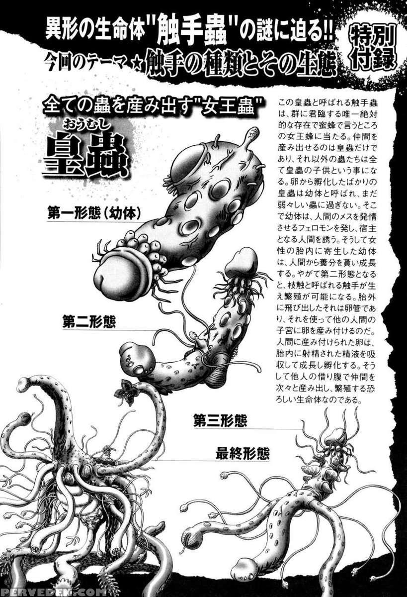 The Secret Flower Garden Vol. 1 1