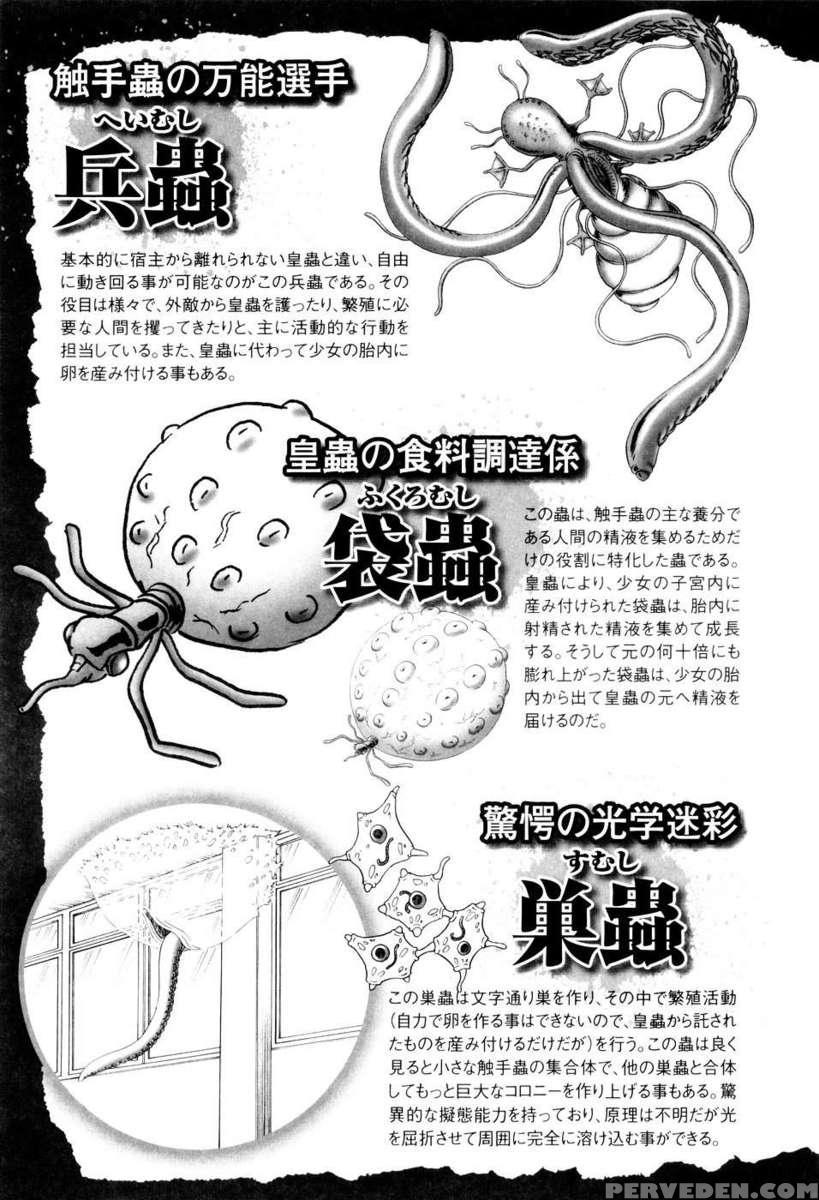 The Secret Flower Garden Vol. 1 1