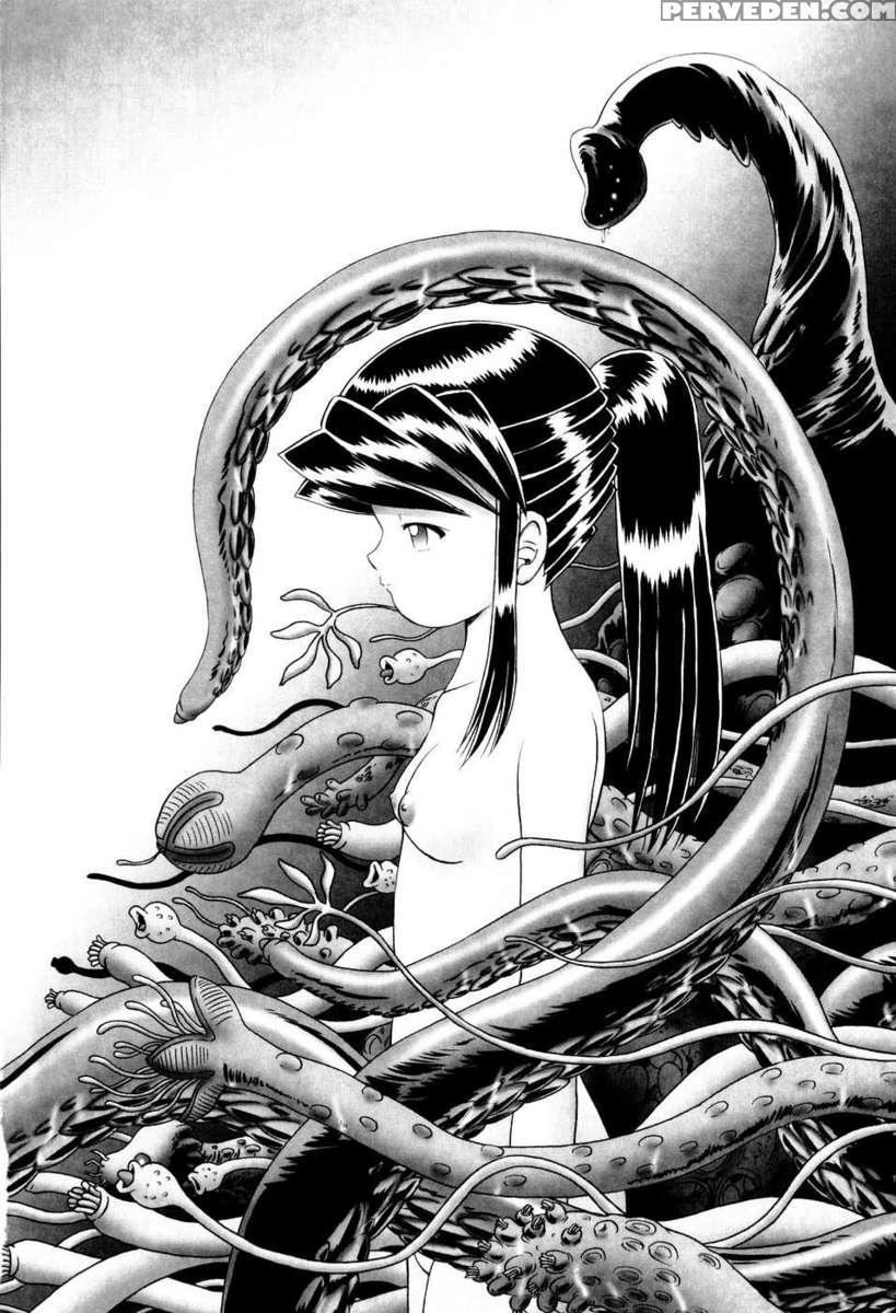 The Secret Flower Garden Vol. 1 1