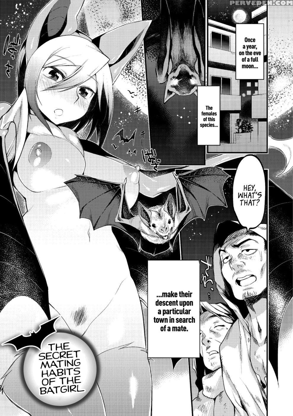 The Secret Mating Habits Of The Batgirl - Mizone 1