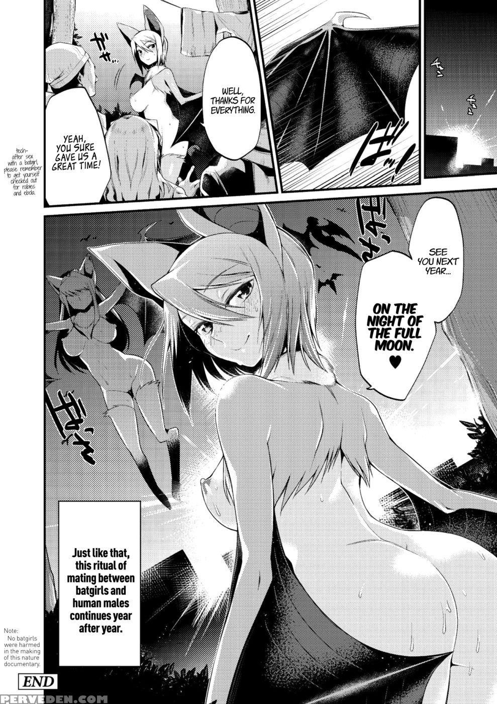 The Secret Mating Habits Of The Batgirl - Mizone 1