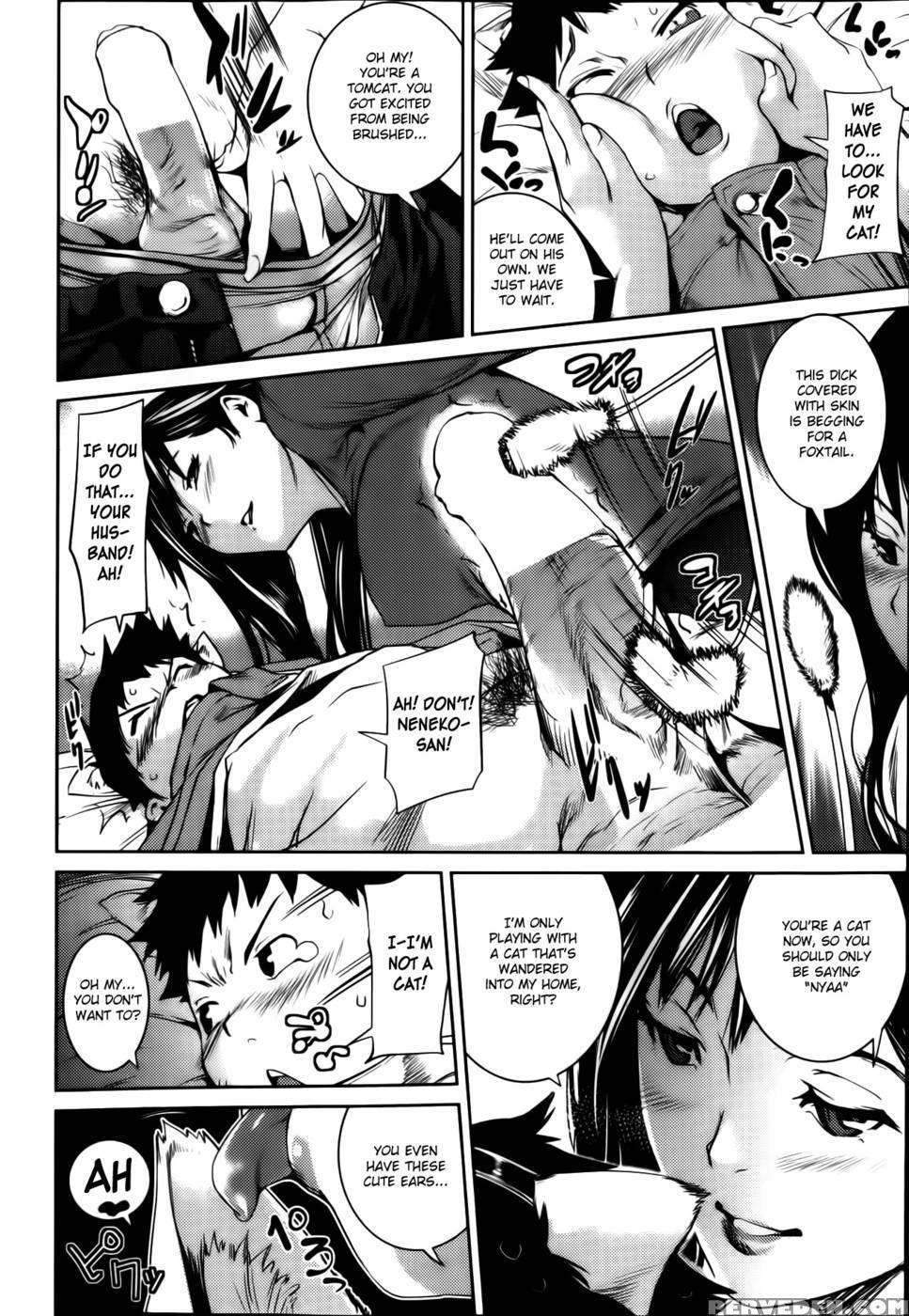 Tonari No Neko Ga Suki - I Love The Cat Next Door 1