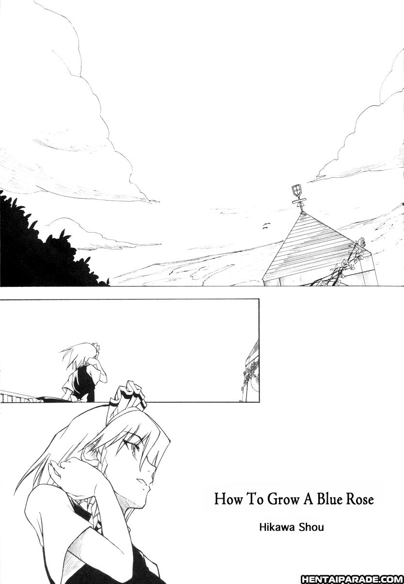 Touhou Dj - How To Grow A Blue Rose 1