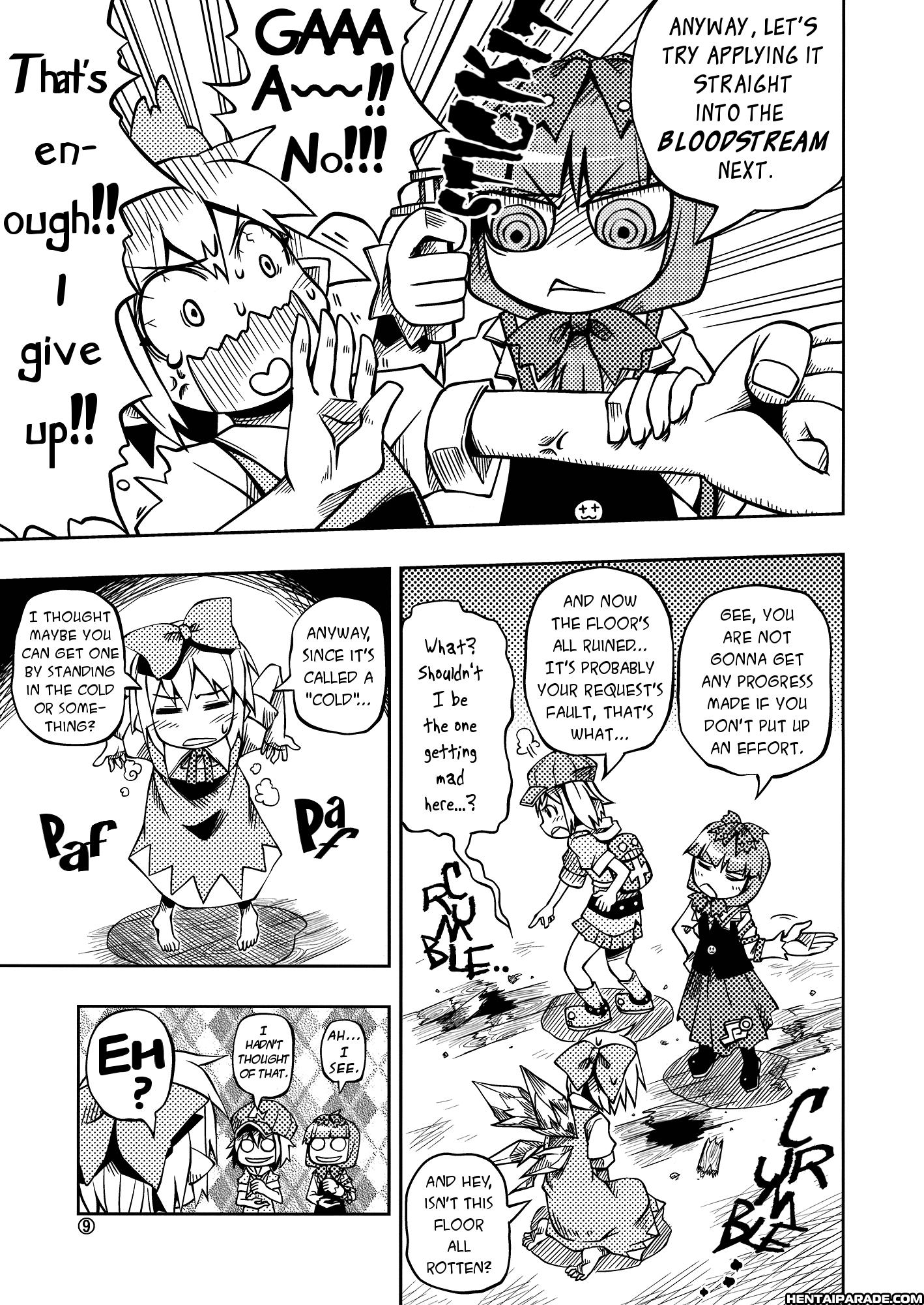 Touhou Dj - Of Idiots And Colds 1