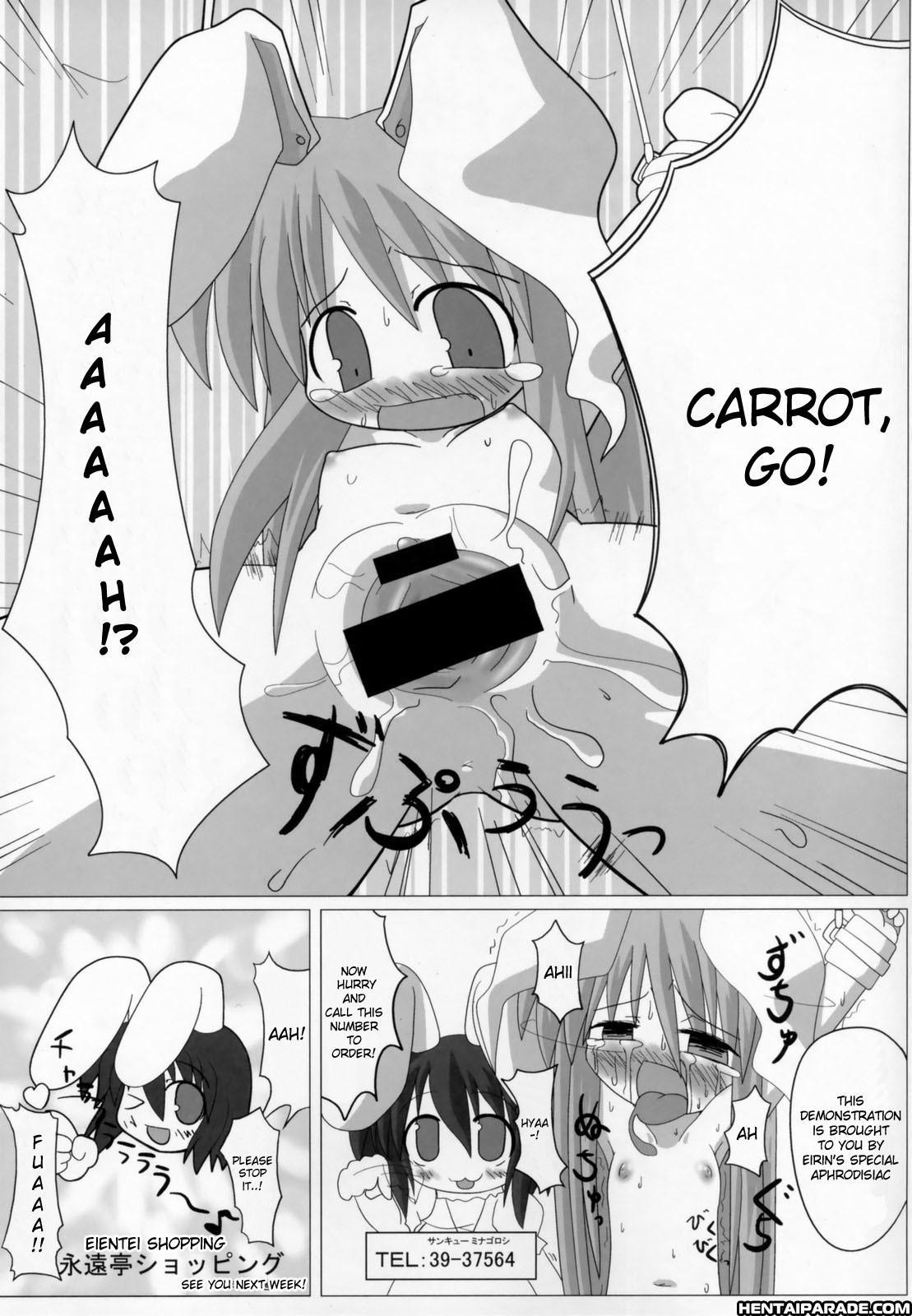 Touhou Dj - Touhou Usagigatsu Matsuri 0: Oneshot