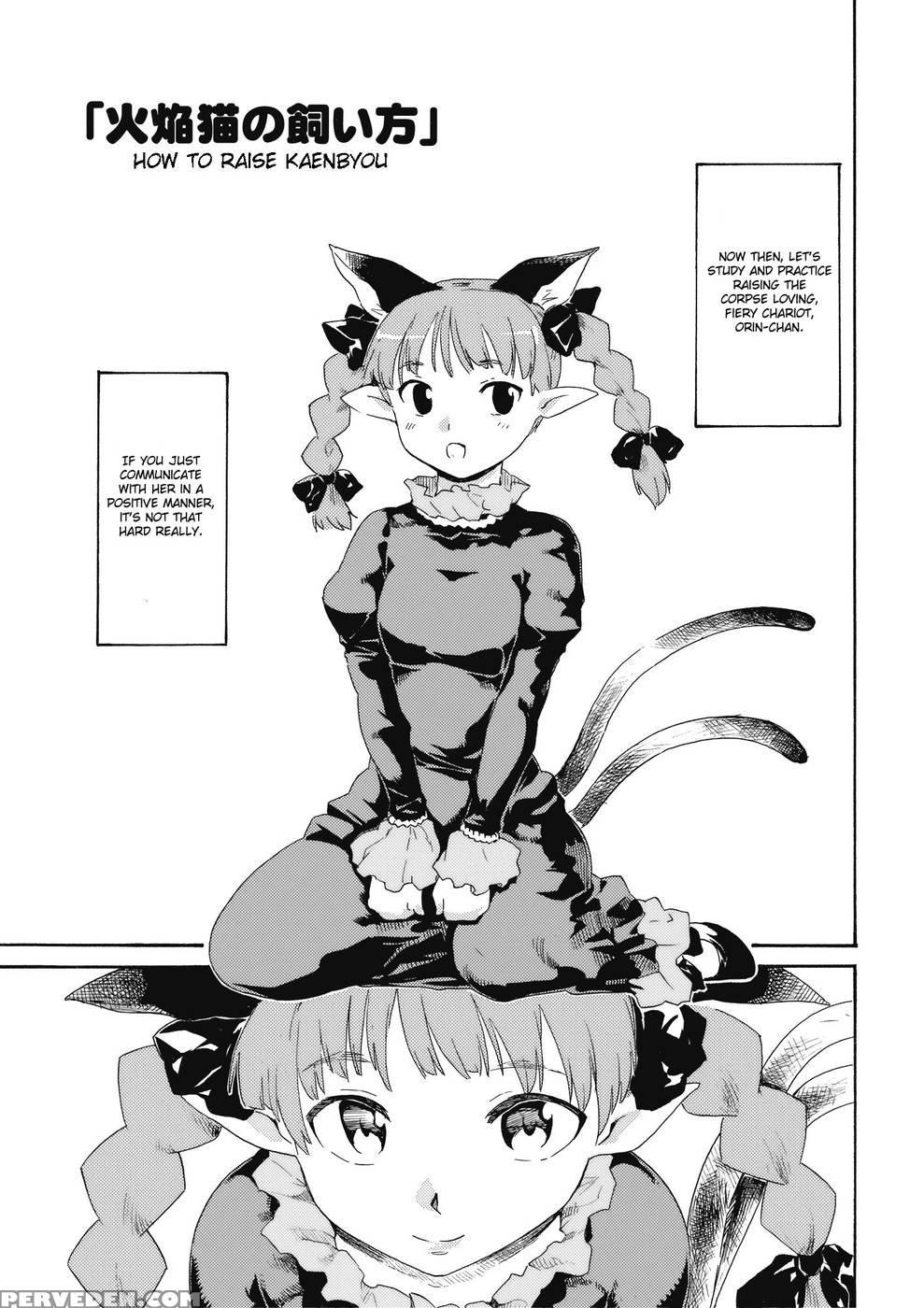 Touhou World Picture Scroll How To Raise Kaenbyou, How To Bring Up A Hell Raven - Touhou 1