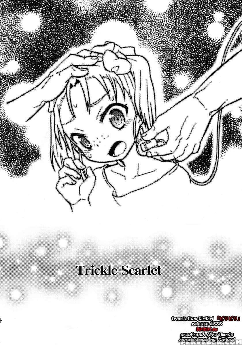Trickle Scarlet 1