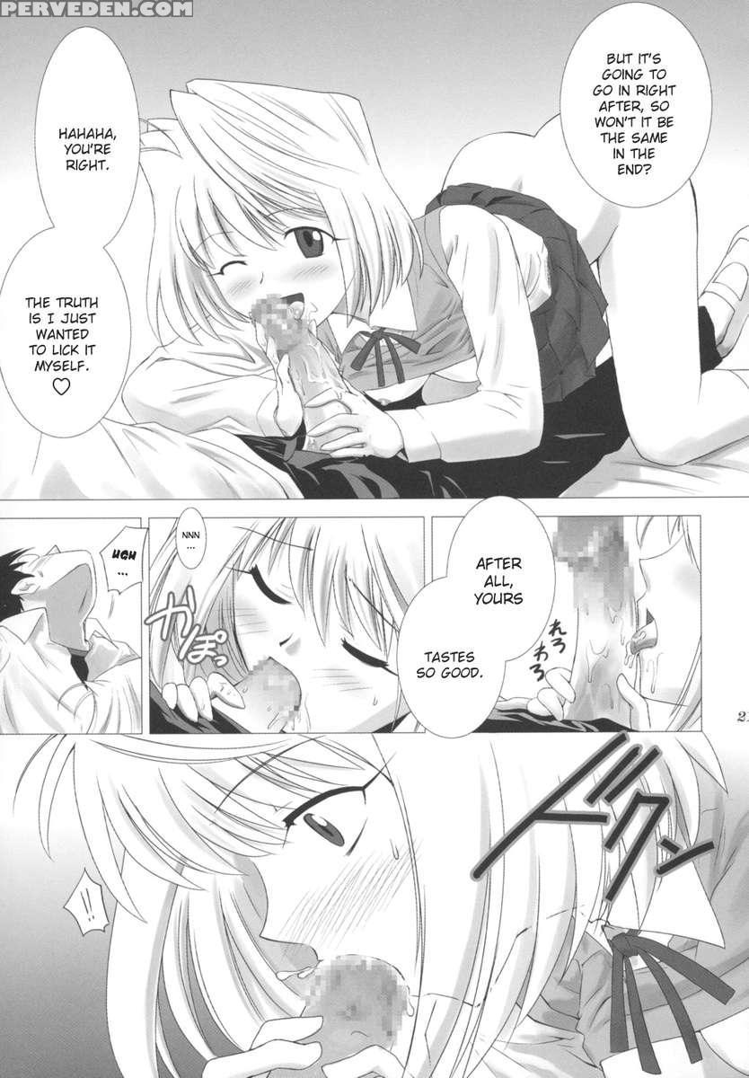 Tsukihime Complex 1