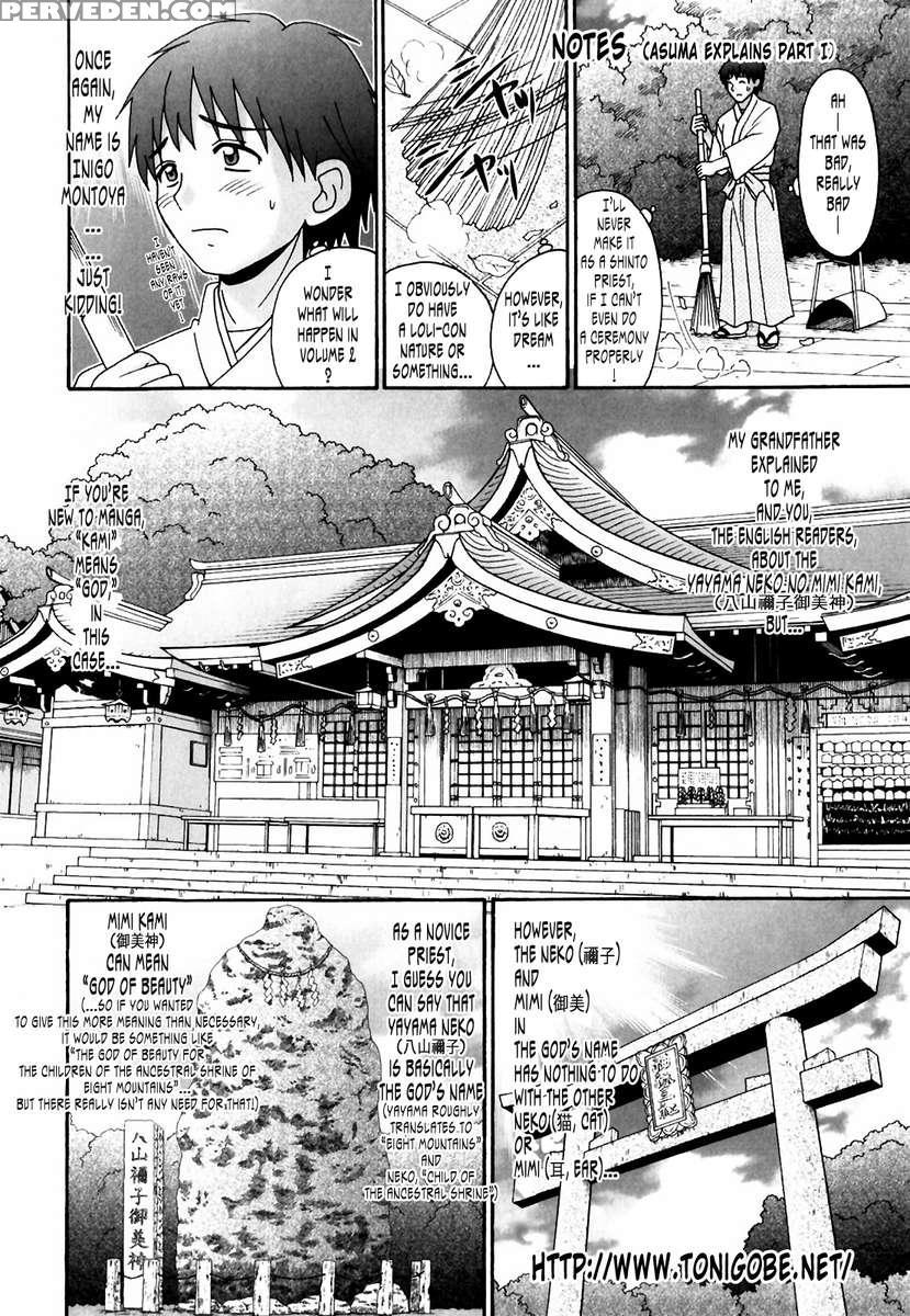 Tsukumimi 1