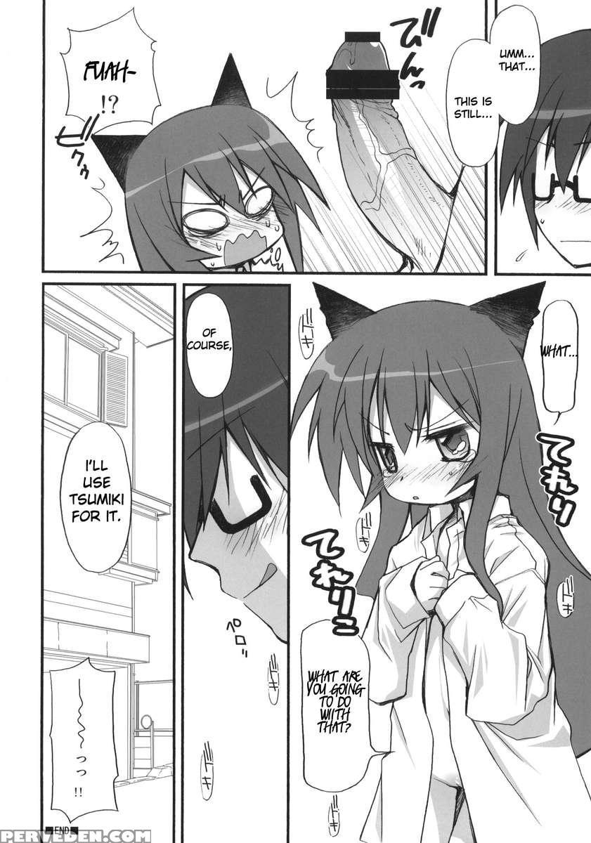 Tsumiki Kuzushi 1