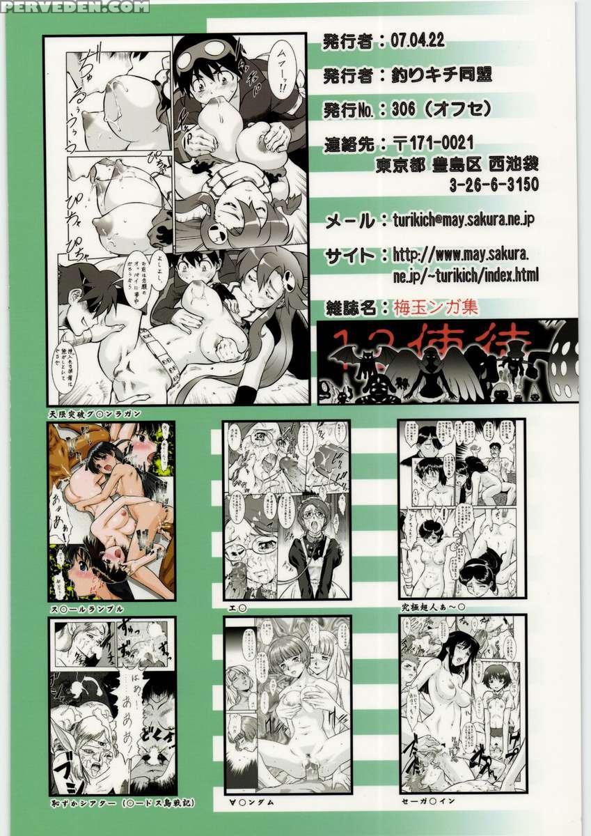 Umedaman Gashuu 12 1