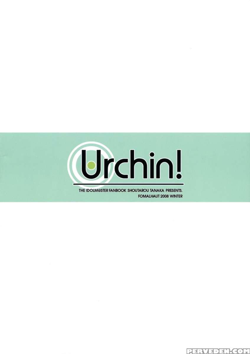 Urchin! 1
