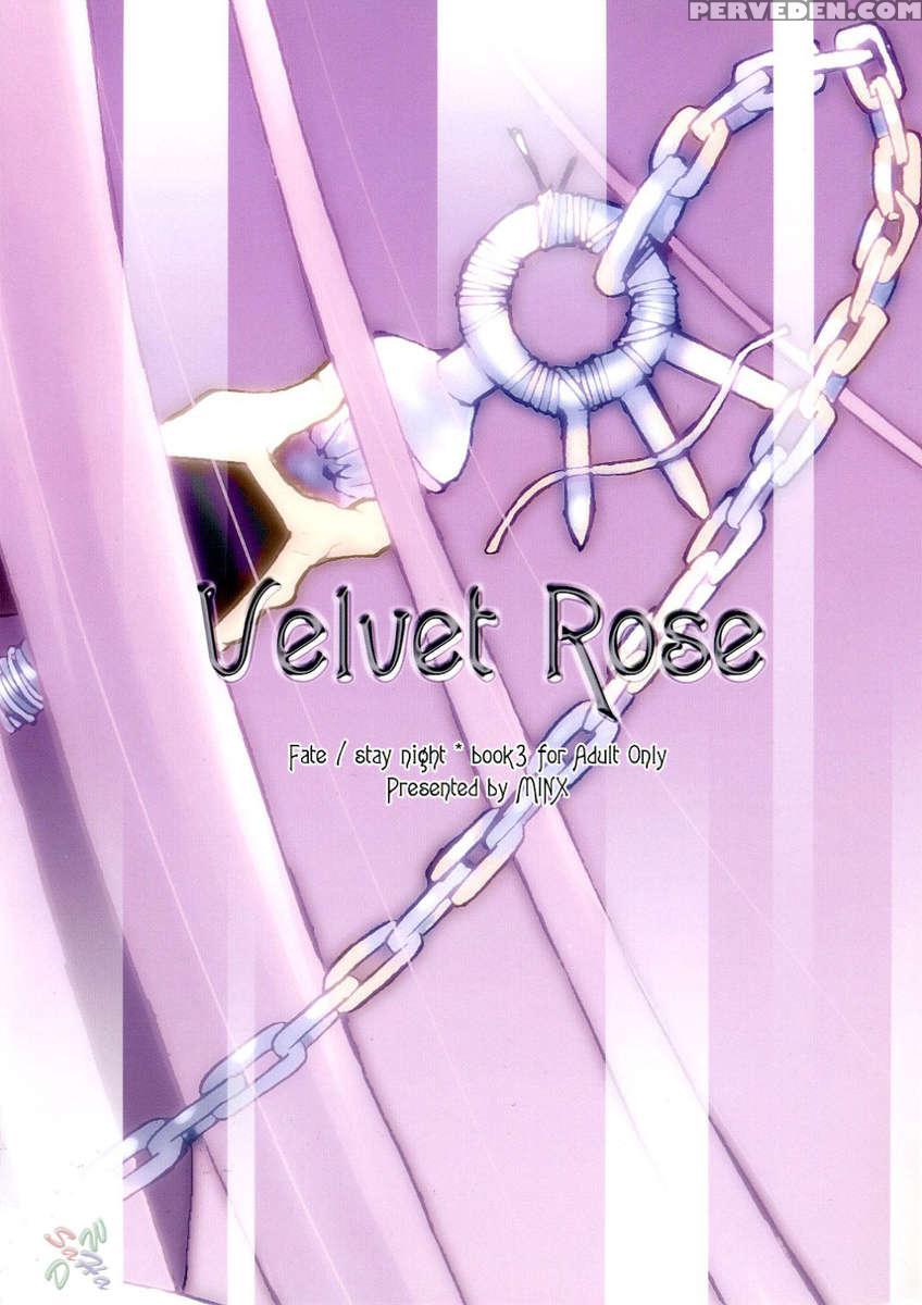 Velvet Rose 1
