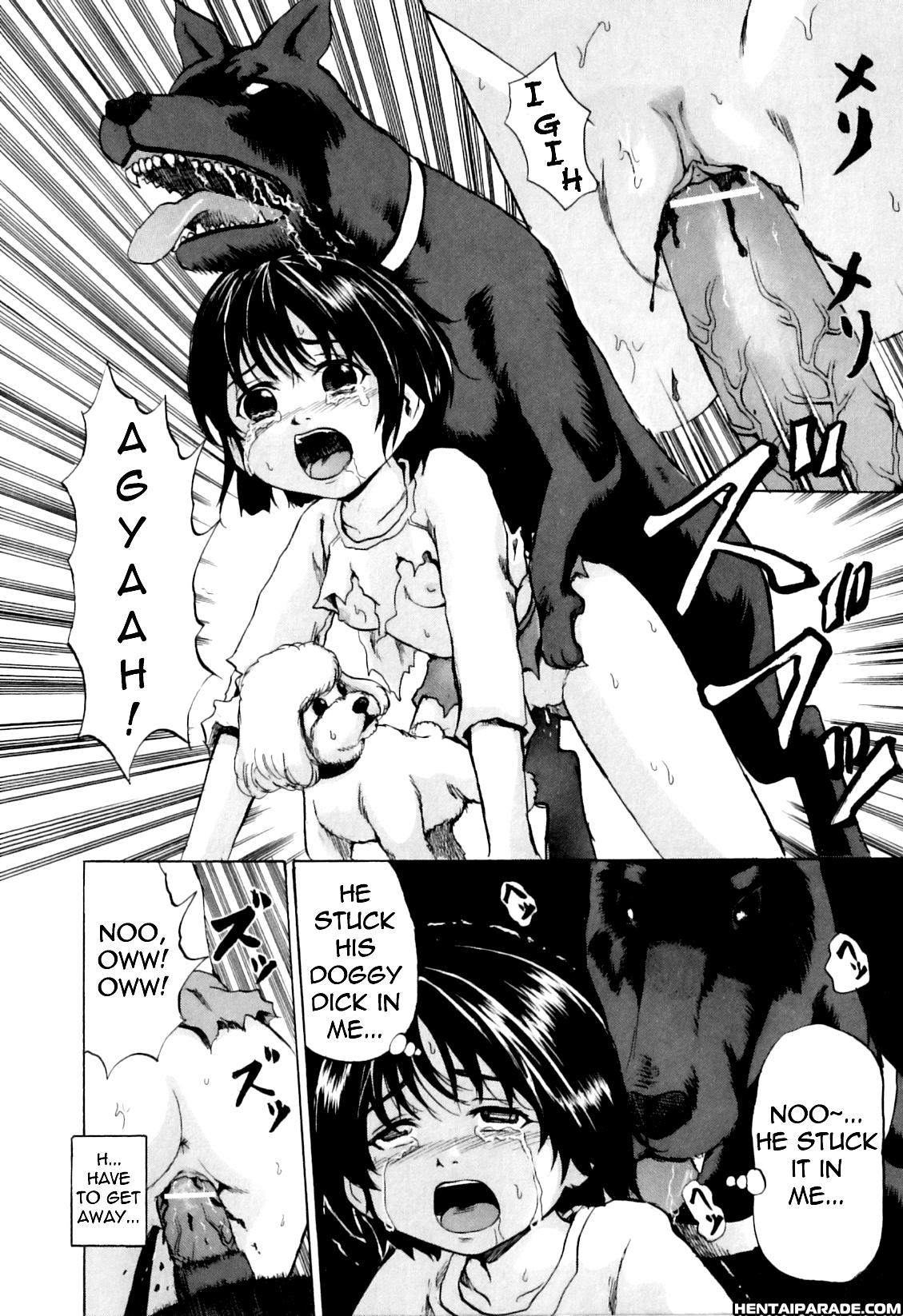 Virgin X Doberman 1