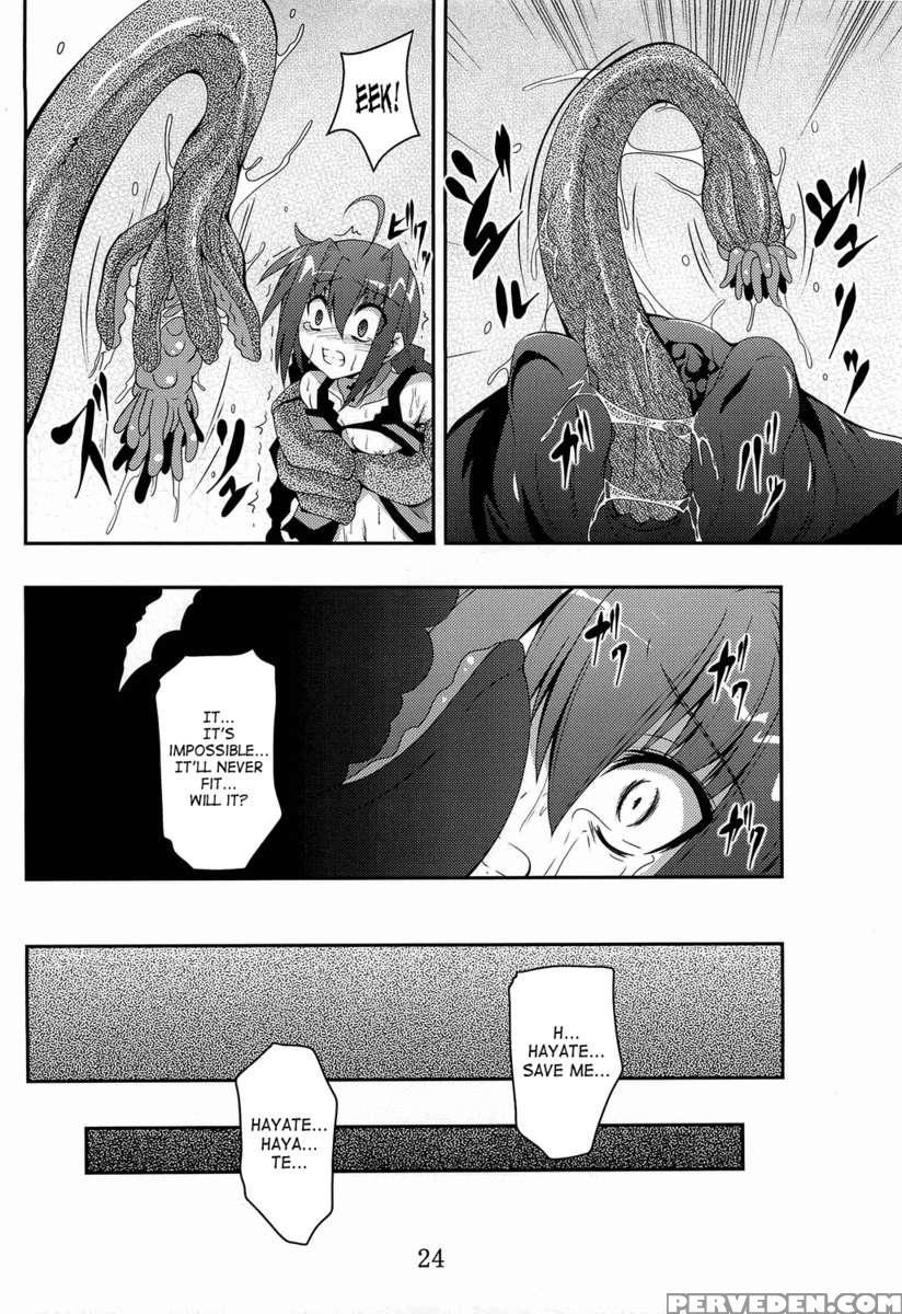 Vita Book 5 1