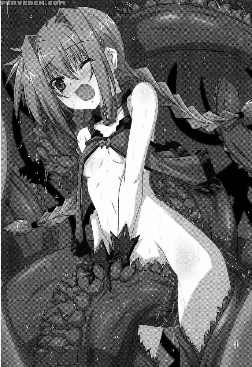 Vita Book 5 1