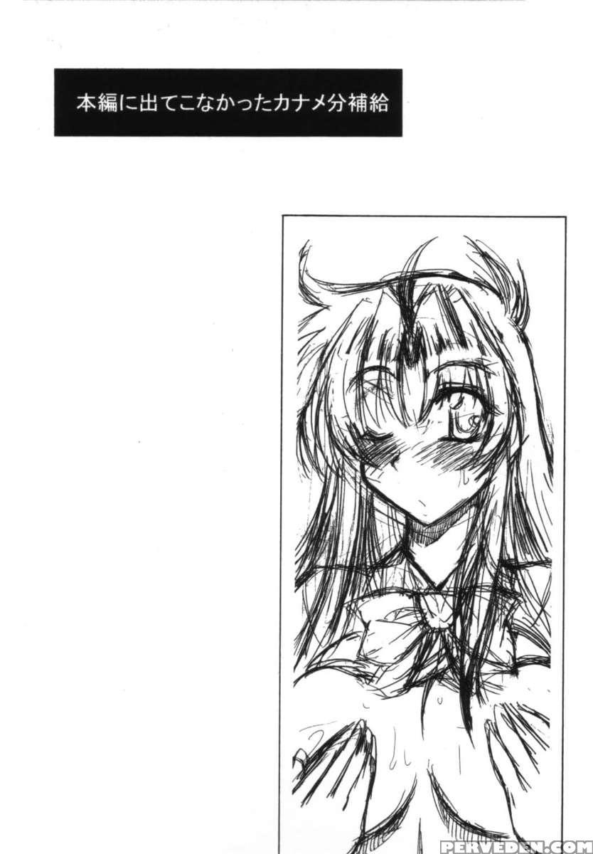 Wari To H Na Sentaichou No Ichinichi 1