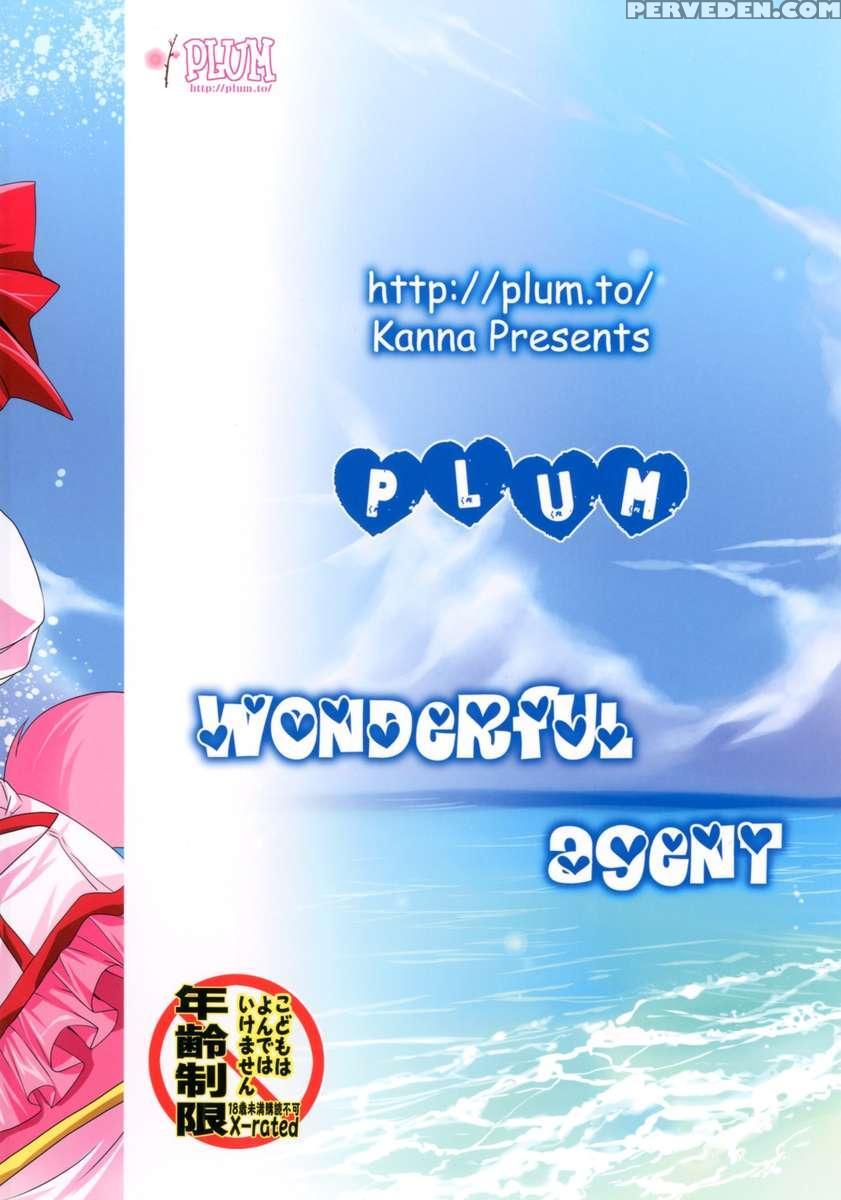 Wonderful Agent 1