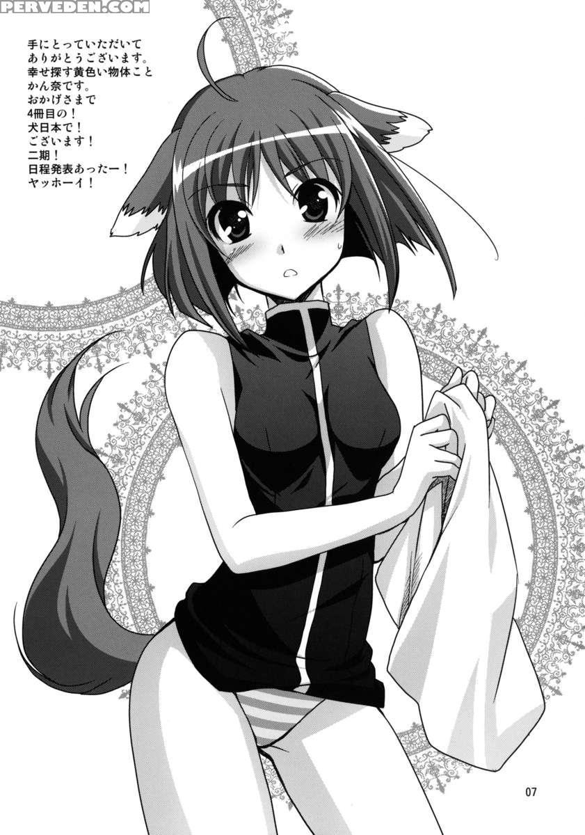 Wonderful Agent 1