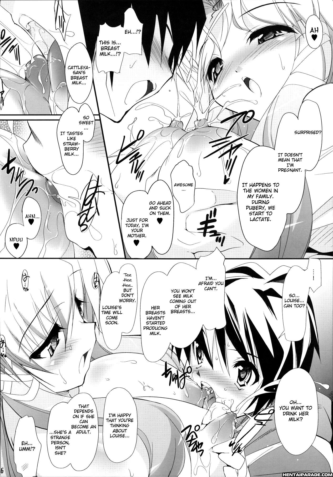Zero No Tsukaima Dj - Ichigo Miruku No Yuuwaku 1