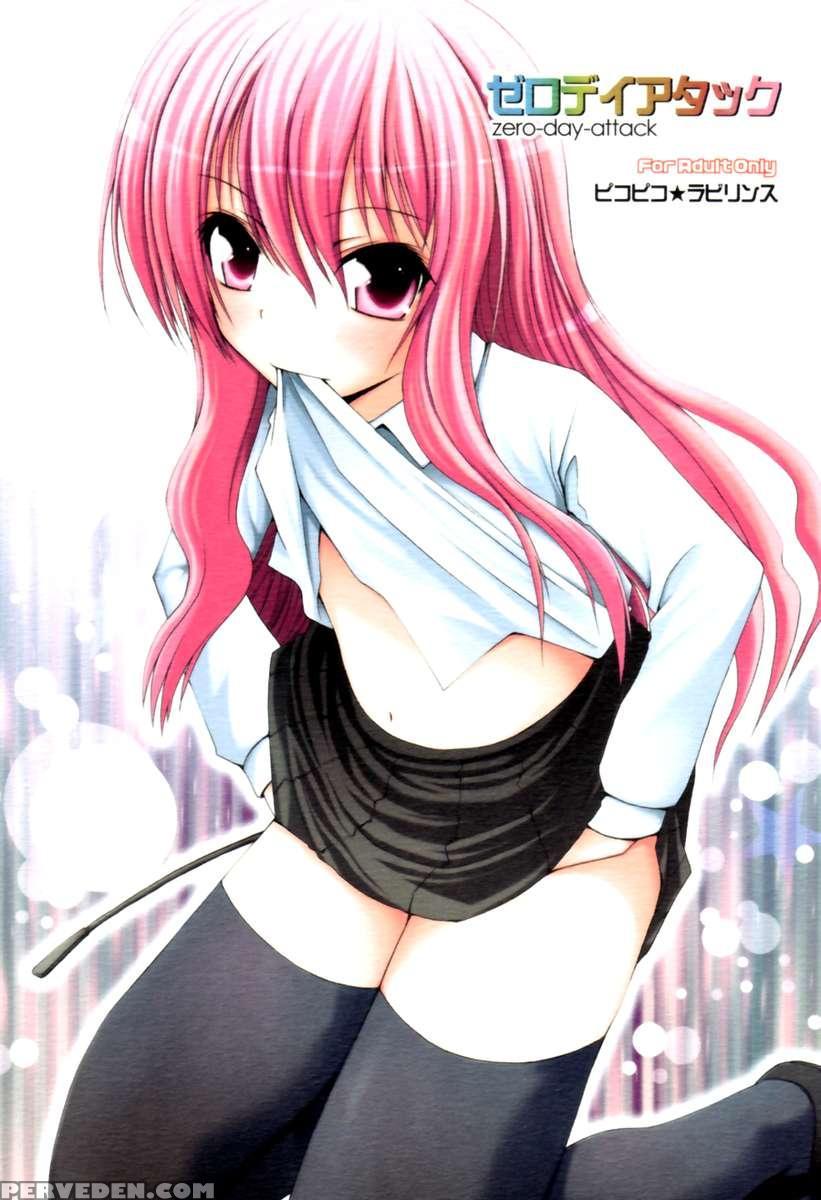 Zero-day-attack 1