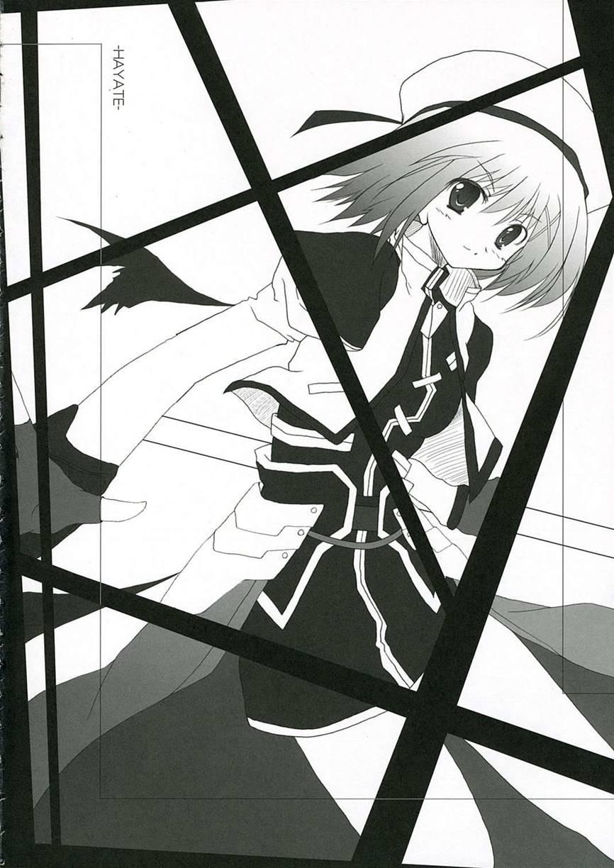 4976x8 No 1