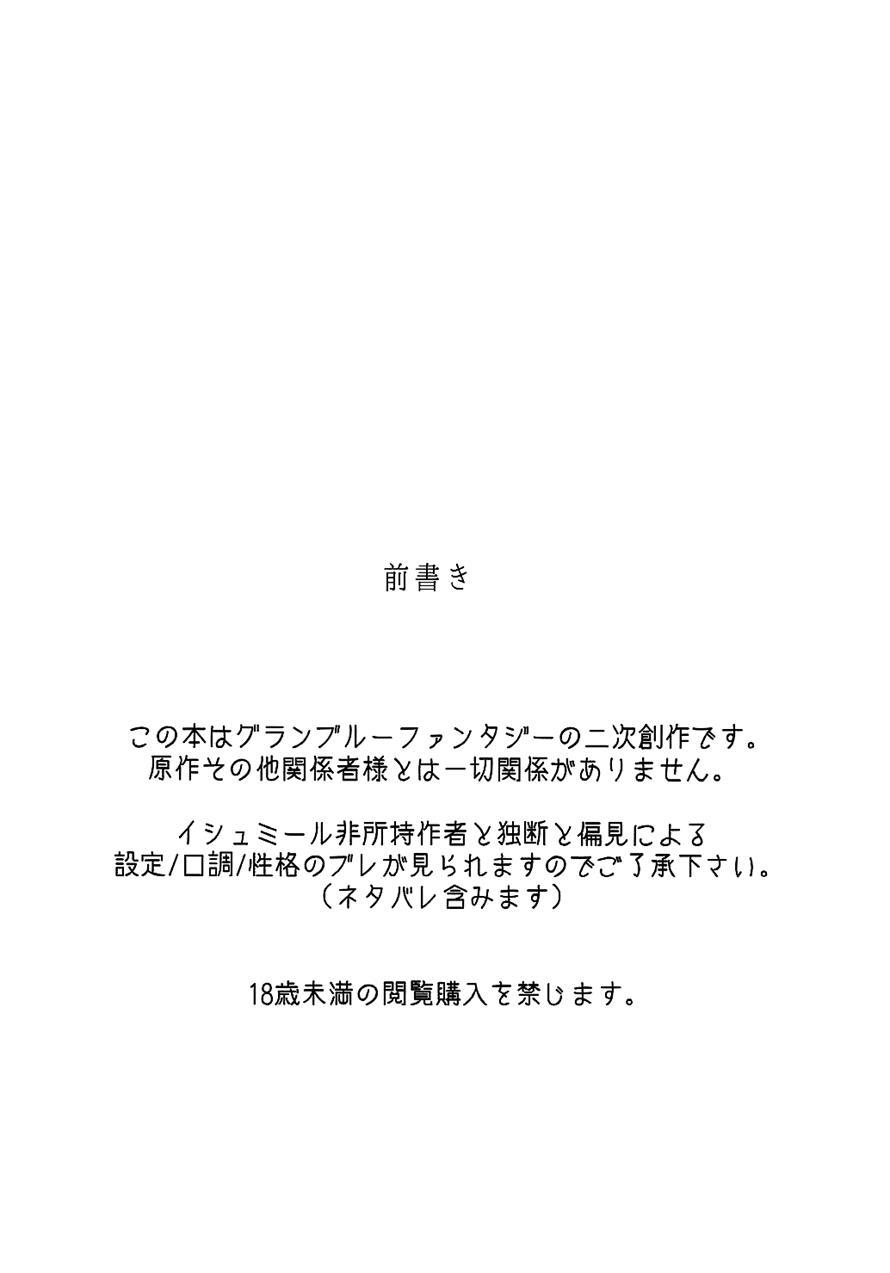 A Book Where I Make Love With Izmir In A Kotatsu 1
