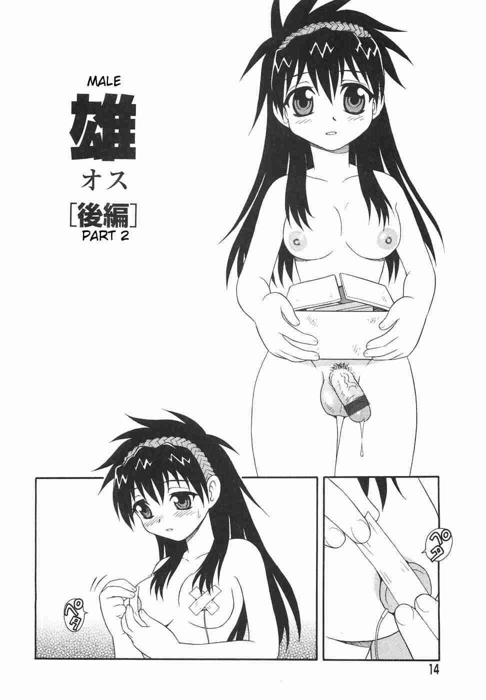 Anadori Gataki Bokura 1