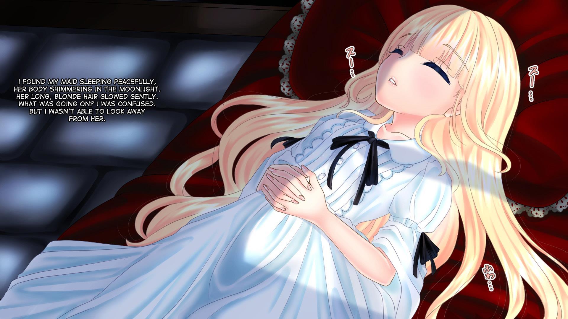 Aru Ryoushu No Nikkichou 1