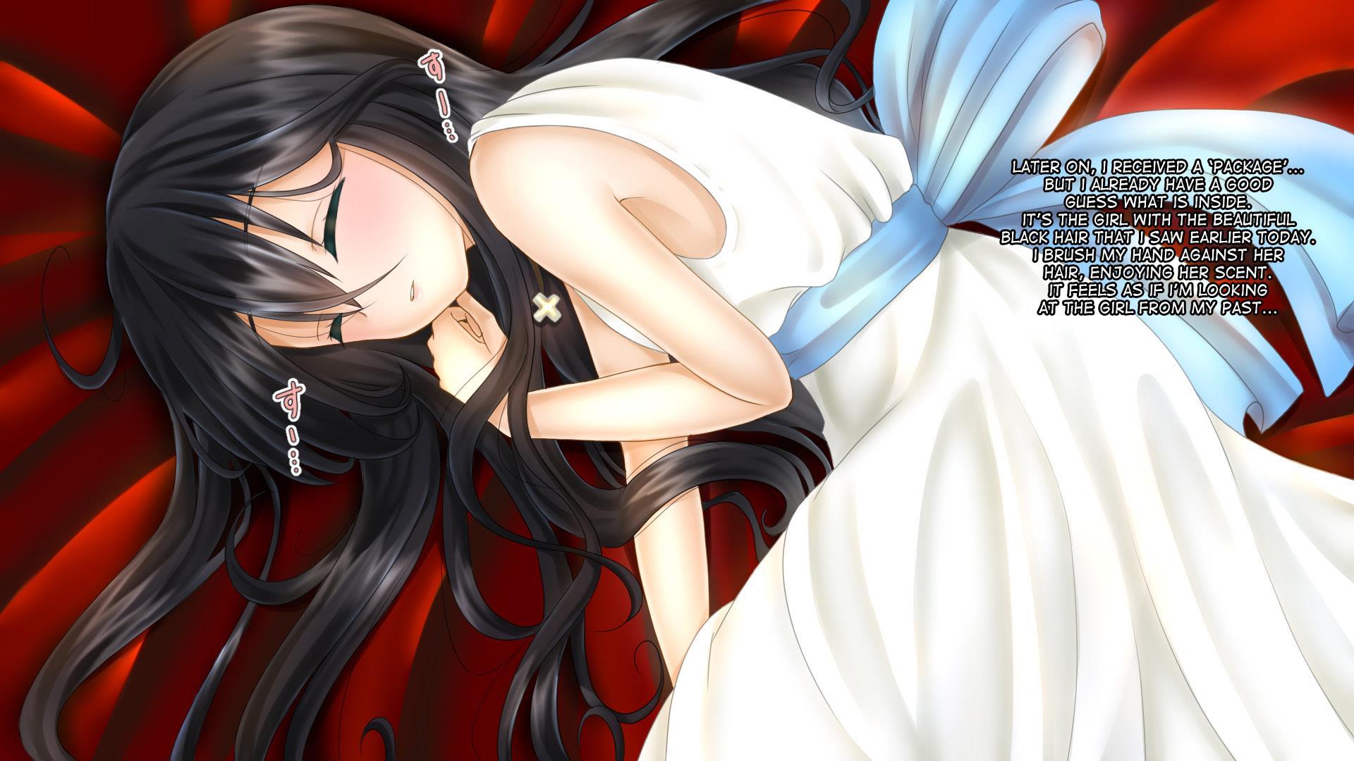 Aru Ryoushu No Nikkichou 1