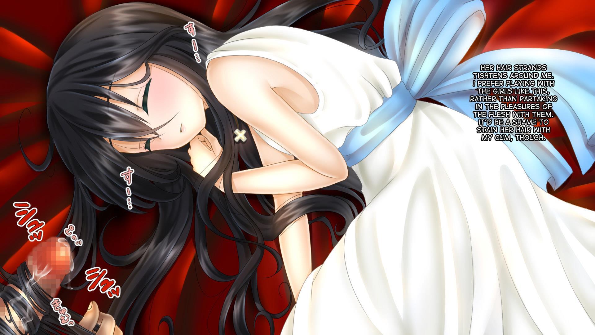 Aru Ryoushu No Nikkichou 1