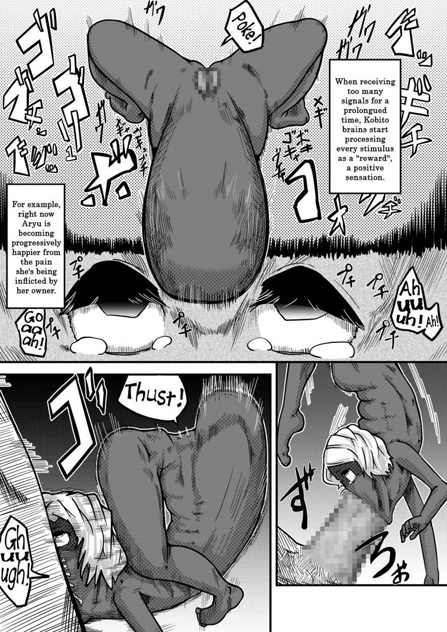 Aryu The Kobito 1