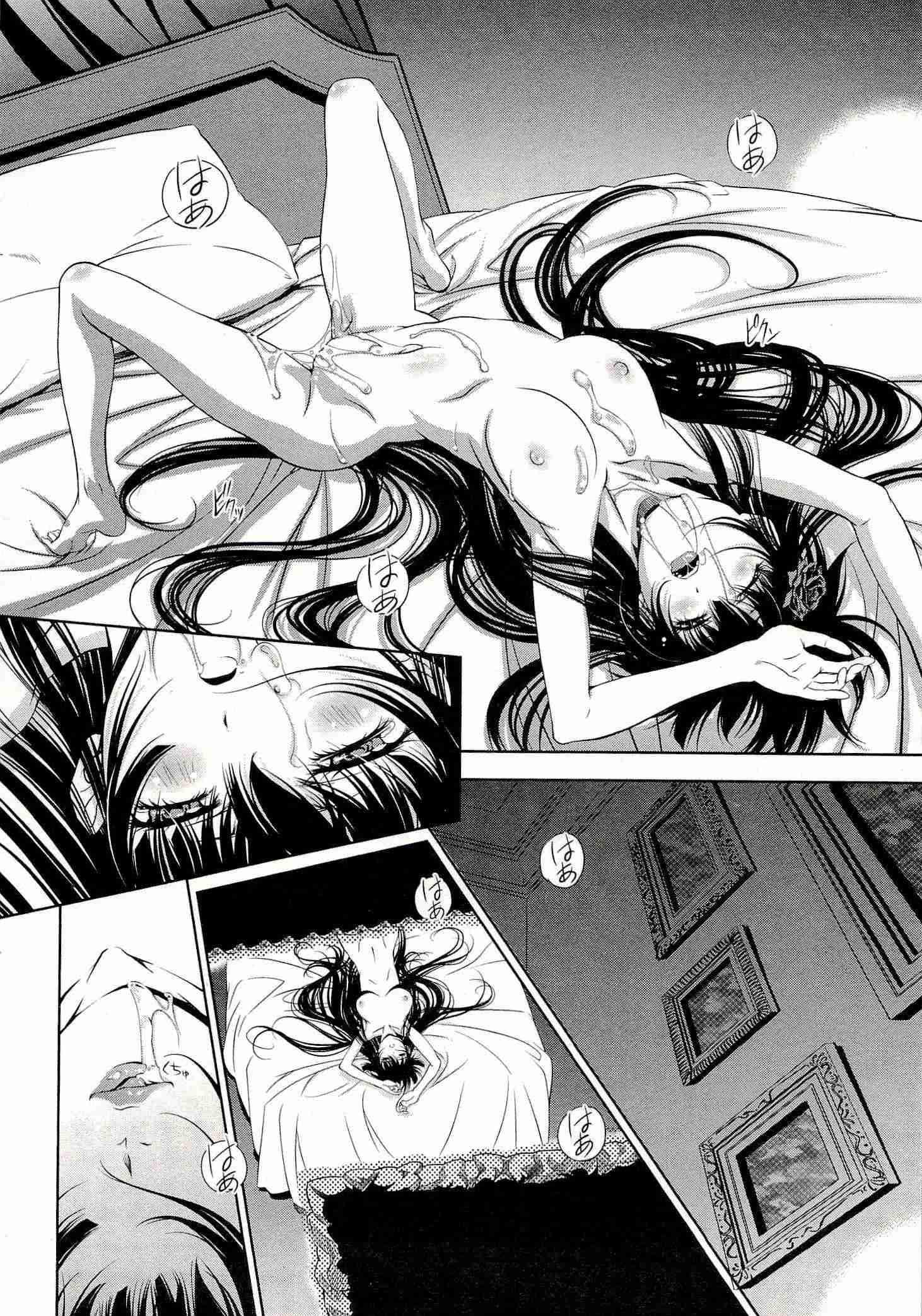 Bara Seiyoukan 2