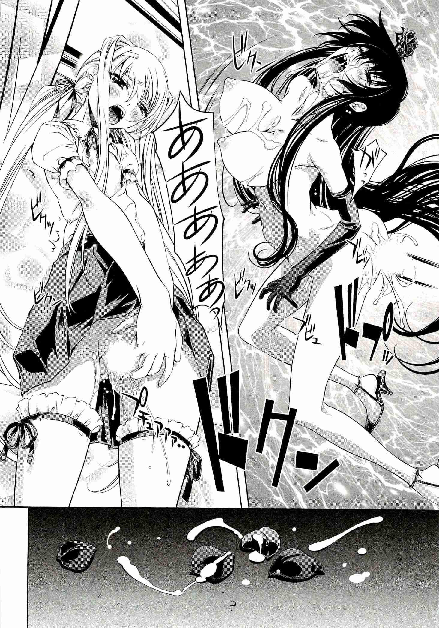 Bara Seiyoukan 4