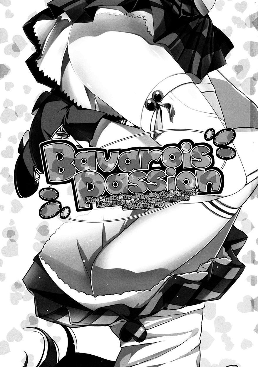 Bavarois Passion 1
