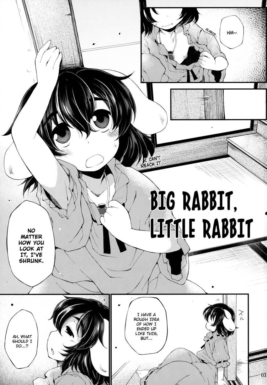 Big Rabbit, Little Rabbit 1