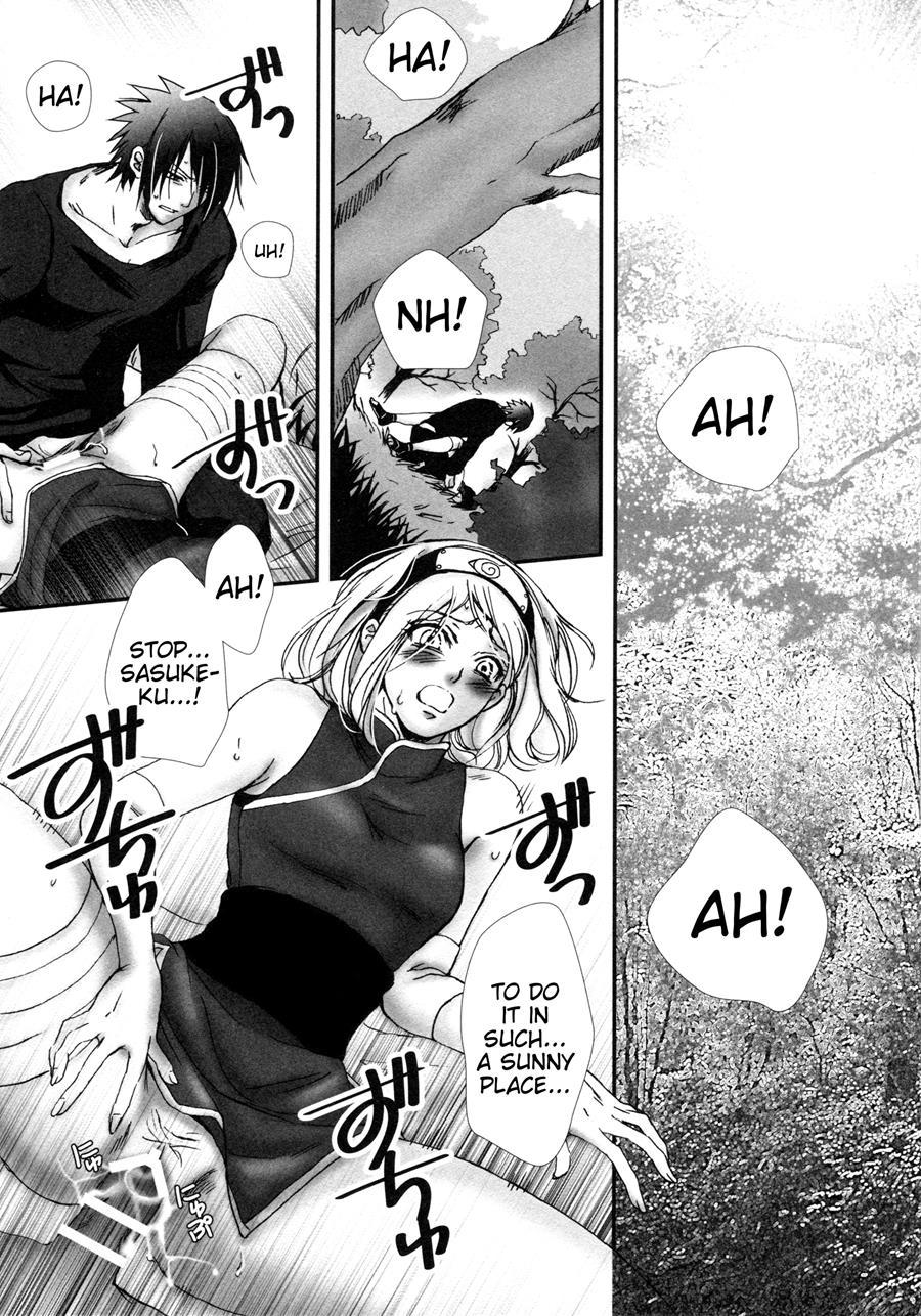 Bitter Sweet (purin) 1