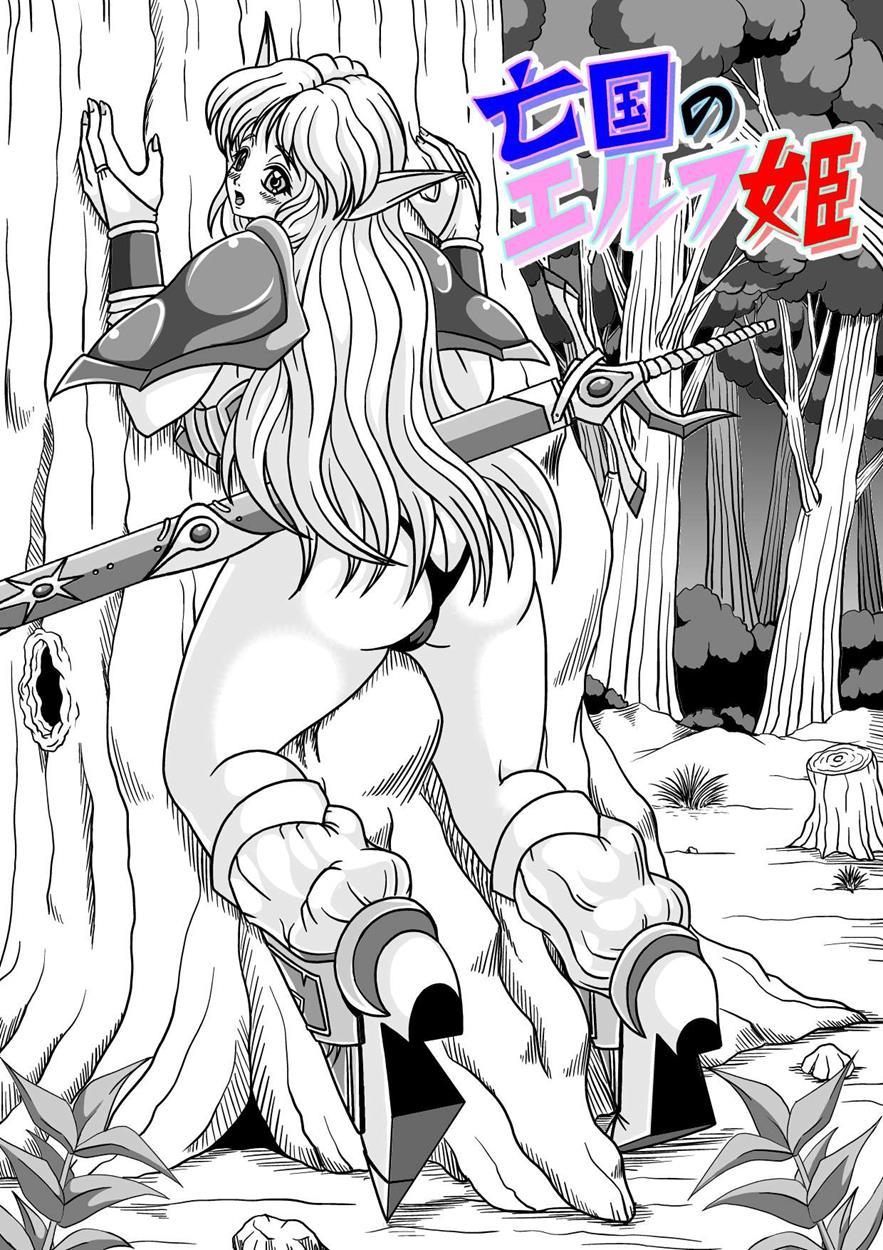 Boukoku No Elf Hime 1