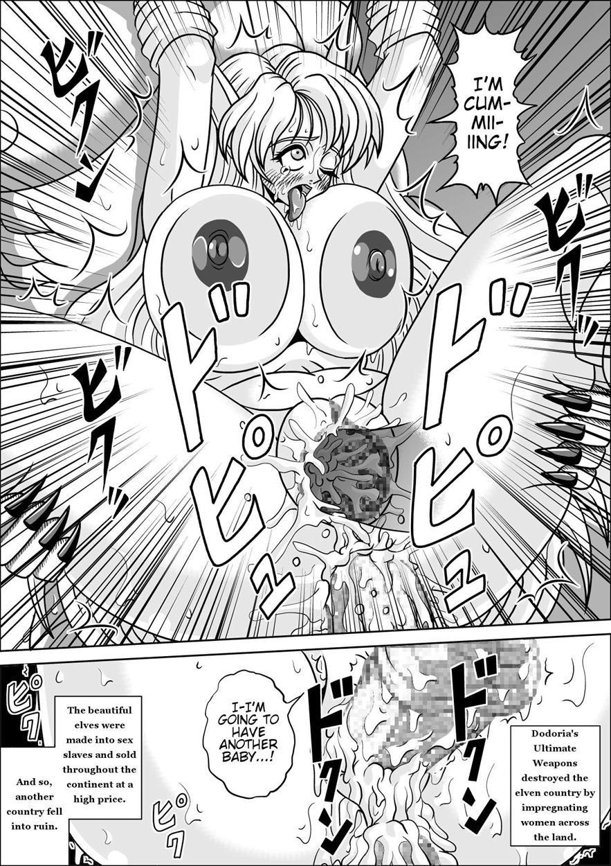 Boukoku No Elf Hime 1
