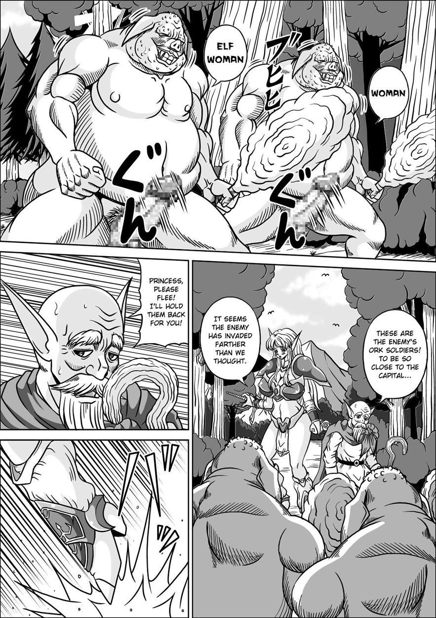 Boukoku No Elf Hime 1