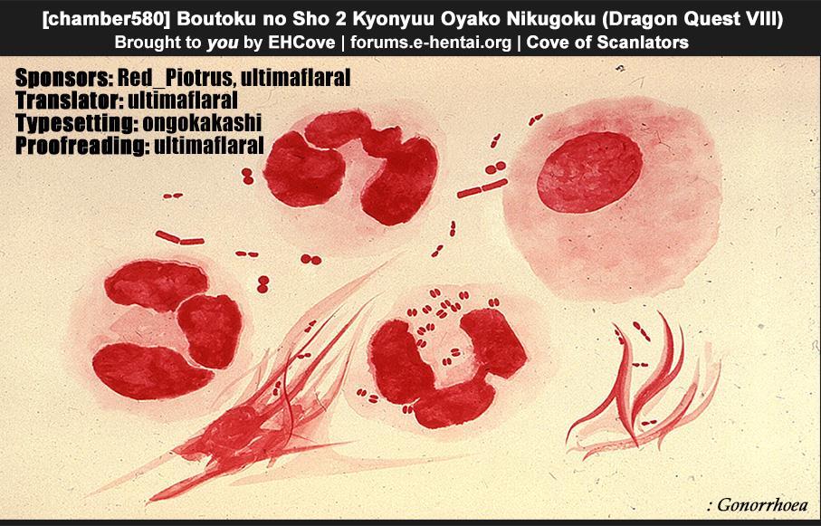 Boutoku No Sho 2 Kyonyuu Oyako Nikugoku 1