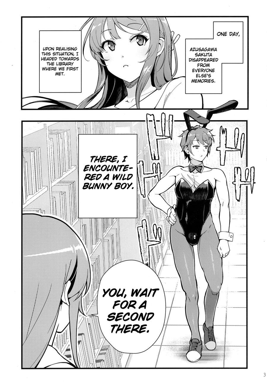 Bunny Lovers 1