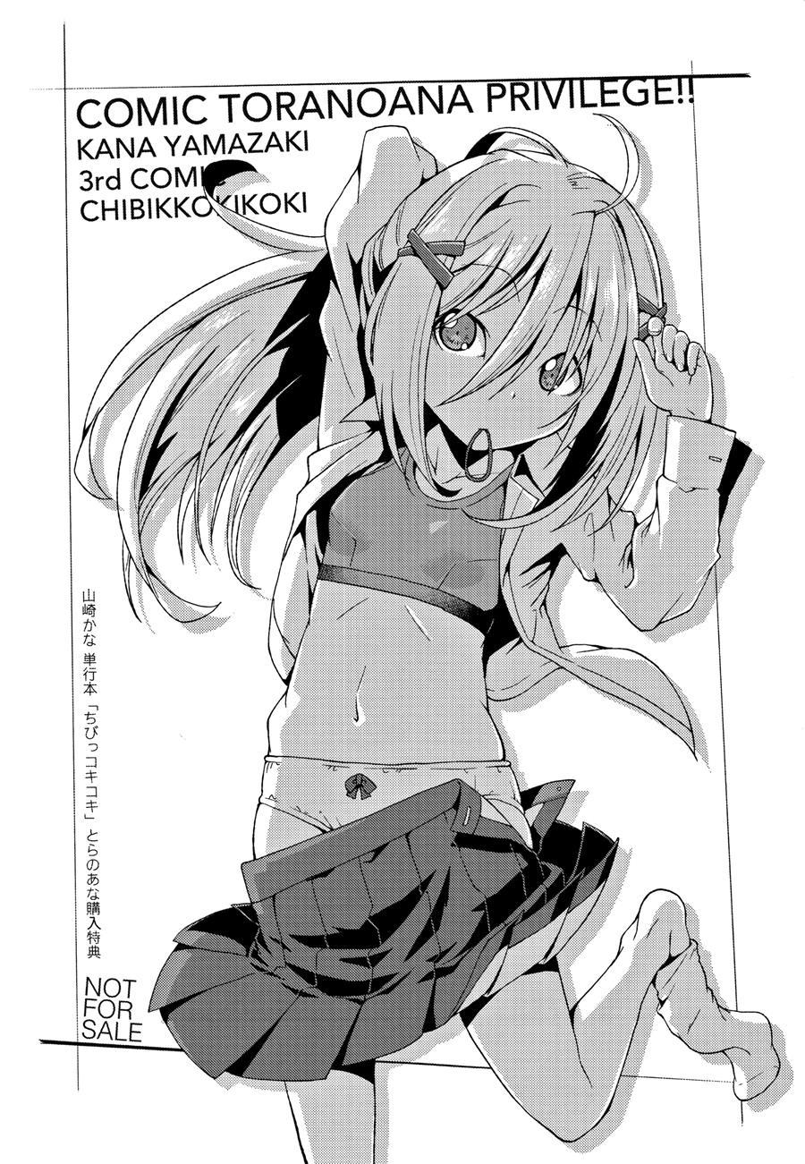 Chibikkokikoki 1