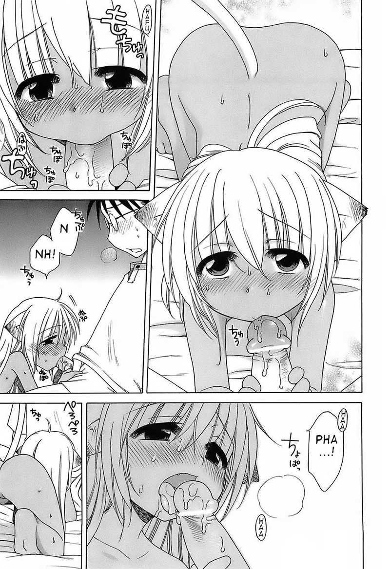 Daisuki! Goshujinsama 2