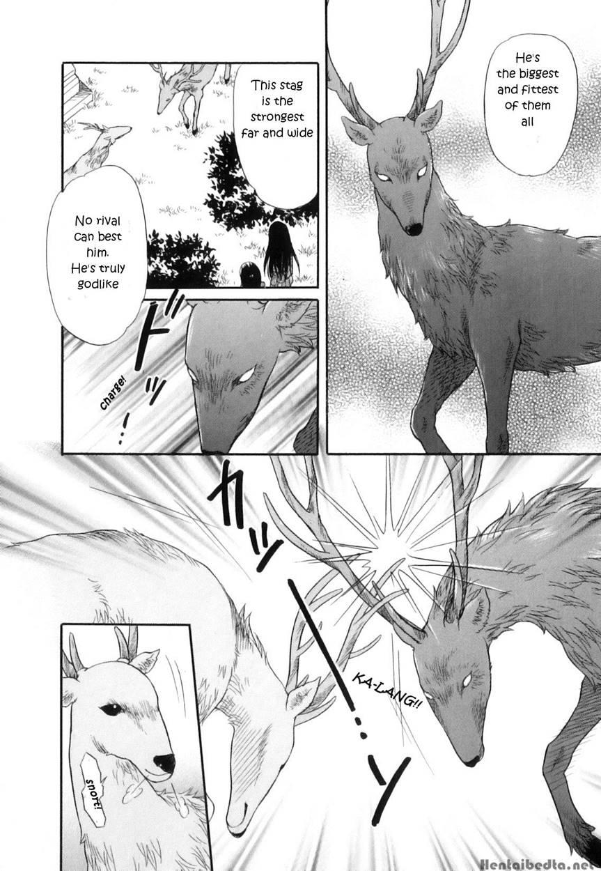 Divine Deer Forest ~girls' Whereabouts~ 1